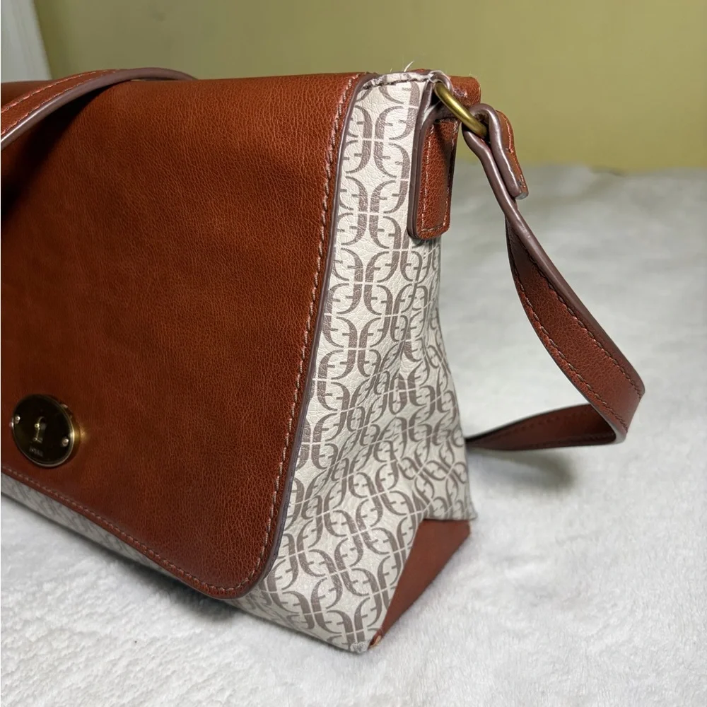 Fossil elegant brown